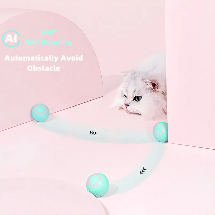 Smart Cat Ball Toy – Interactive Automatic Rolling Toy for Cats | FS FanStore