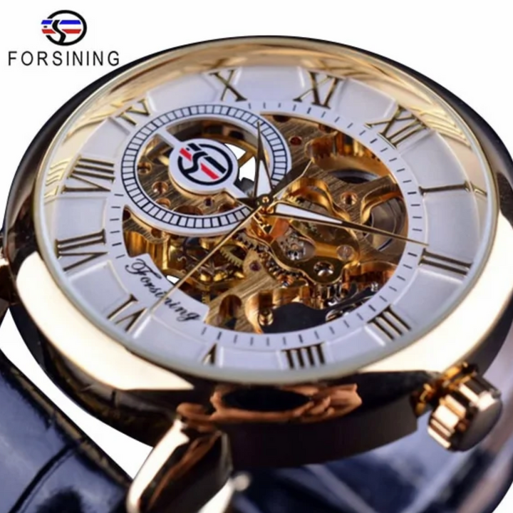Men’s Luxury Mechanical Watch – Skeleton Dial with Leather Strap | FS FanStore