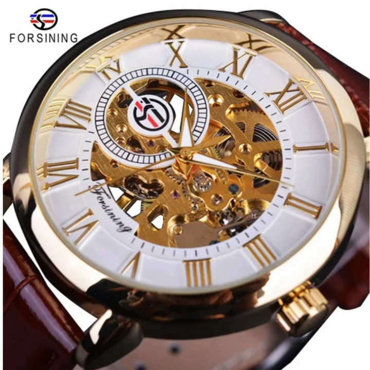 Men’s Luxury Mechanical Watch – Skeleton Dial with Leather Strap | FS FanStore